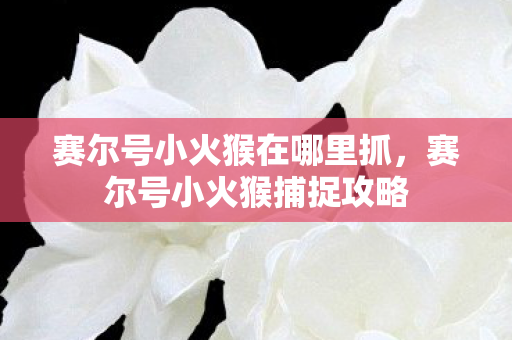 赛尔号小火猴在哪里抓，赛尔号小火猴捕捉攻略