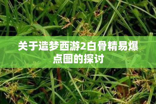 关于造梦西游2白骨精易爆点图的探讨 关于造梦西游2白骨精易爆点图的探讨