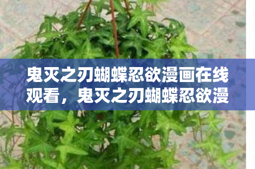 鬼灭之刃蝴蝶忍欲漫画在线观看,鬼灭之刃蝴蝶忍欲漫画,情感与欲望的交织 鬼灭之刃蝴蝶忍欲漫画在线观看,鬼灭之刃蝴蝶忍欲漫画,情感与欲望的交织