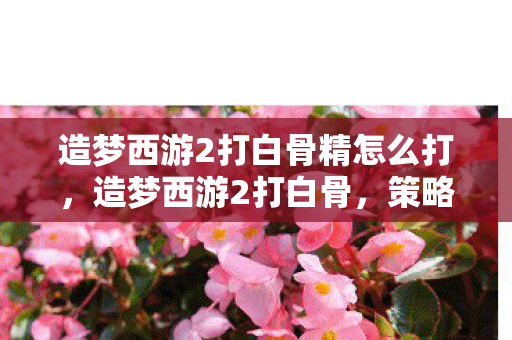 造梦西游2打白骨精怎么打，造梦西游2打白骨，策略与技巧的深度剖析