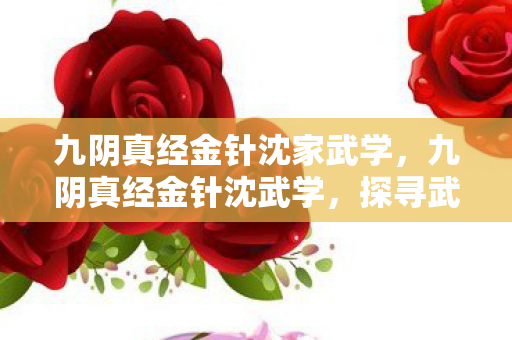 九阴真经金针沈家武学，九阴真经金针沈武学，探寻武侠世界的奥秘