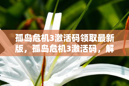 孤岛危机3激活码领取最新版,孤岛危机3激活码,解锁游戏世界的钥匙 孤岛危机3激活码领取最新版,孤岛危机3激活码,解锁游戏世界的钥匙