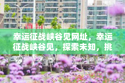 幸运征战峡谷见网址，幸运征战峡谷见，探索未知，挑战自我