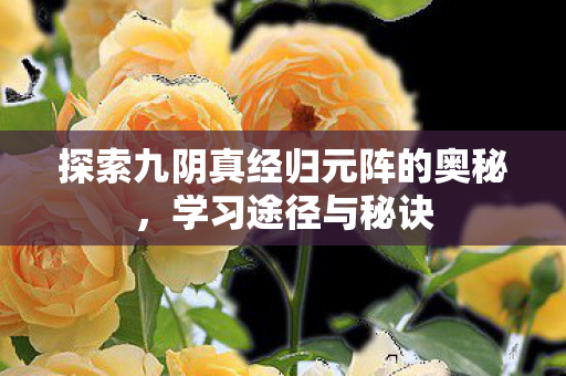 探索九阴真经归元阵的奥秘,学习途径与秘诀 探索九阴真经归元阵的奥秘,学习途径与秘诀