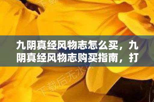 九阴真经风物志怎么买，九阴真经风物志购买指南，打造个性江湖之旅