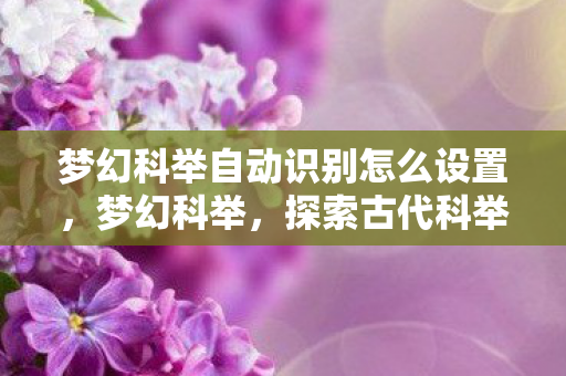 梦幻科举自动识别怎么设置,梦幻科举,探索古代科举制度的魅力与影响 梦幻科举自动识别怎么设置,梦幻科举,探索古代科举制度的魅力与影响
