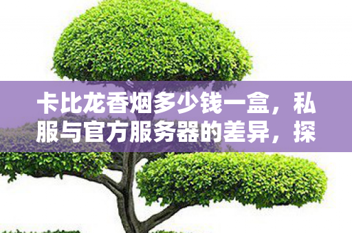 卡比龙香烟多少钱一盒,私服与官方服务器的差异,探索游戏世界的另一种选择 卡比龙香烟多少钱一盒,私服与官方服务器的差异,探索游戏世界的另一种选择