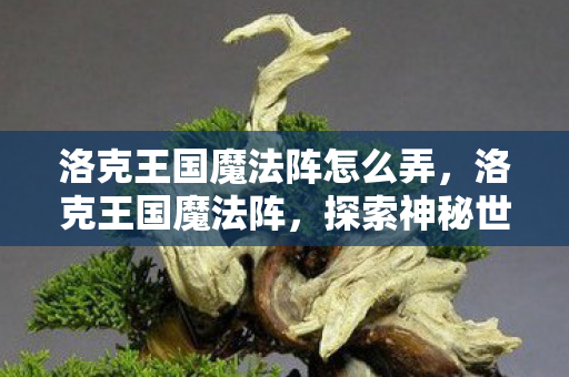 洛克王国魔法阵怎么弄,洛克王国魔法阵,探索神秘世界的奇幻之旅 洛克王国魔法阵怎么弄,洛克王国魔法阵,探索神秘世界的奇幻之旅