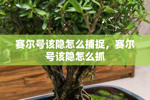 赛尔号该隐怎么捕捉,赛尔号该隐怎么抓 赛尔号该隐怎么捕捉,赛尔号该隐怎么抓