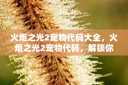 火炬之光2宠物代码大全,火炬之光2宠物代码,解锁你的专属伙伴 火炬之光2宠物代码大全,火炬之光2宠物代码,解锁你的专属伙伴
