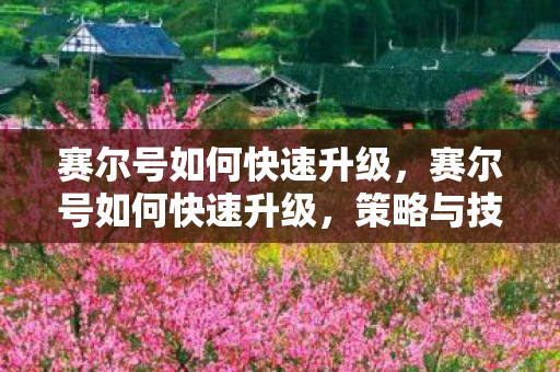 赛尔号如何快速升级,赛尔号如何快速升级,策略与技巧 赛尔号如何快速升级,赛尔号如何快速升级,策略与技巧