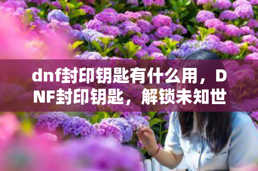 dnf封印钥匙有什么用,DNF封印钥匙,解锁未知世界的神秘钥匙 dnf封印钥匙有什么用,DNF封印钥匙,解锁未知世界的神秘钥匙