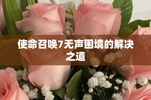 使命召唤7无声困境的解决之道 使命召唤7无声困境的解决之道