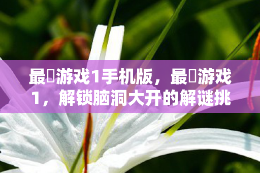 最囧游戏1手机版,最囧游戏1,解锁脑洞大开的解谜挑战 最囧游戏1手机版,最囧游戏1,解锁脑洞大开的解谜挑战