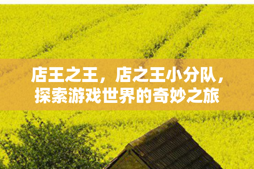 店王之王,店之王小分队,探索游戏世界的奇妙之旅 店王之王,店之王小分队,探索游戏世界的奇妙之旅