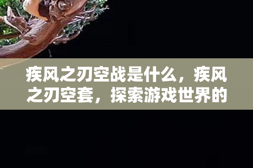 疾风之刃空战是什么，疾风之刃空套，探索游戏世界的独特魅力