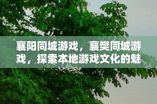 襄阳同城游戏,襄樊同城游戏,探索本地游戏文化的魅力 襄阳同城游戏,襄樊同城游戏,探索本地游戏文化的魅力