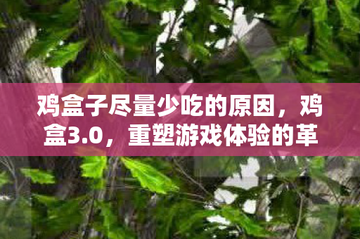 鸡盒子尽量少吃的原因，鸡盒3.0，重塑游戏体验的革新工具