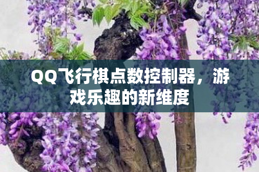 QQ飞行棋点数控制器，游戏乐趣的新维度