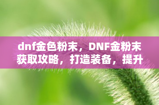 dnf金色粉末,DNF金粉末获取攻略,打造装备,提升战力 dnf金色粉末,DNF金粉末获取攻略,打造装备,提升战力