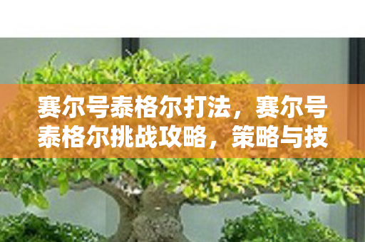 赛尔号泰格尔打法，赛尔号泰格尔挑战攻略，策略与技巧