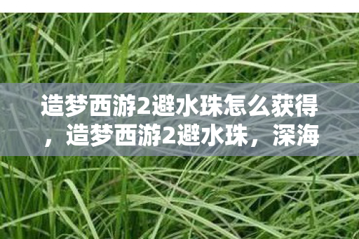 造梦西游2避水珠怎么获得,造梦西游2避水珠,深海探秘的神奇宝物 造梦西游2避水珠怎么获得,造梦西游2避水珠,深海探秘的神奇宝物