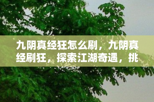 九阴真经狂怎么刷，九阴真经刷狂，探索江湖奇遇，挑战极限战力