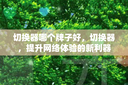 切换器哪个牌子好,切换器,提升网络体验的新利器 切换器哪个牌子好,切换器,提升网络体验的新利器
