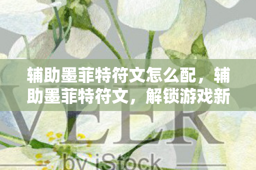 辅助墨菲特符文怎么配，辅助墨菲特符文，解锁游戏新境界的秘钥