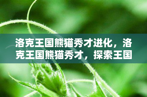 洛克王国熊猫秀才进化，洛克王国熊猫秀才，探索王国中的智慧与魅力