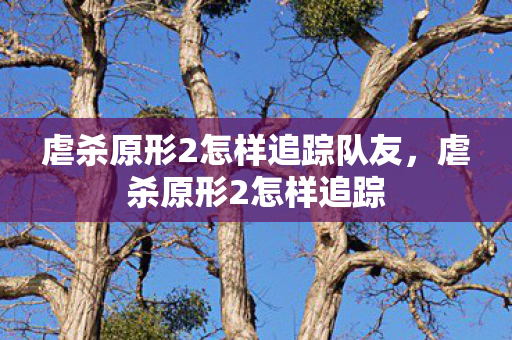 虐杀原形2怎样追踪队友，虐杀原形2怎样追踪