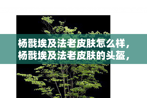 杨戬埃及法老皮肤怎么样,杨戬埃及法老皮肤的头盔,神秘而威严的鹰首形状 杨戬埃及法老皮肤怎么样,杨戬埃及法老皮肤的头盔,神秘而威严的鹰首形状