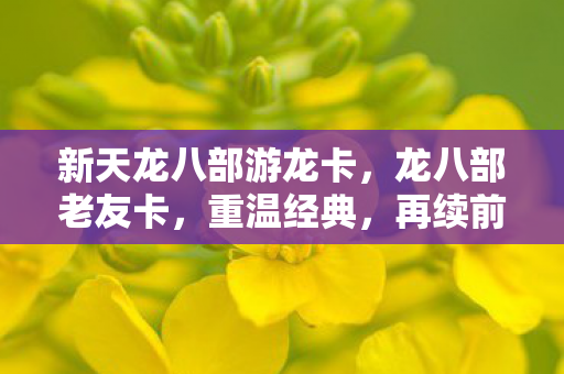 新天龙八部游龙卡，龙八部老友卡，重温经典，再续前缘
