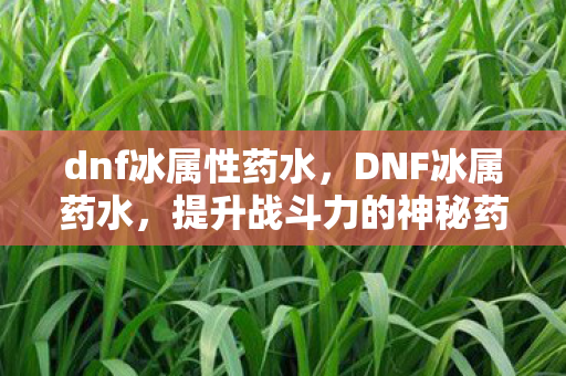 dnf冰属性药水，DNF冰属药水，提升战斗力的神秘药剂