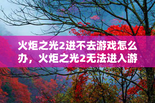 火炬之光2进不去游戏怎么办,火炬之光2无法进入游戏的解决方法 火炬之光2进不去游戏怎么办,火炬之光2无法进入游戏的解决方法