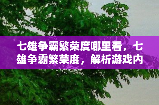 七雄争霸繁荣度哪里看,七雄争霸繁荣度,解析游戏内经济系统的奥秘 七雄争霸繁荣度哪里看,七雄争霸繁荣度,解析游戏内经济系统的奥秘