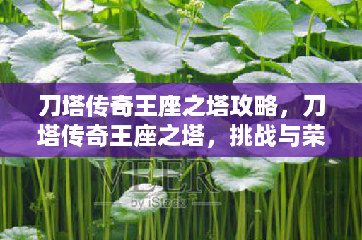刀塔传奇王座之塔攻略,刀塔传奇王座之塔,挑战与荣耀的巅峰 刀塔传奇王座之塔攻略,刀塔传奇王座之塔,挑战与荣耀的巅峰