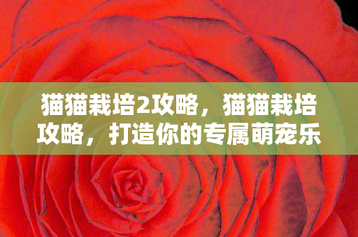 猫猫栽培2攻略,猫猫栽培攻略,打造你的专属萌宠乐园 猫猫栽培2攻略,猫猫栽培攻略,打造你的专属萌宠乐园