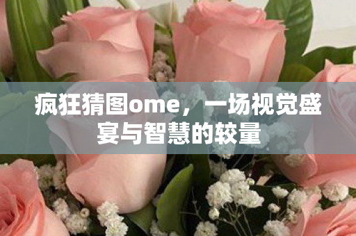疯狂猜图ome，一场视觉盛宴与智慧的较量