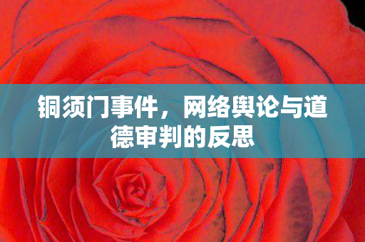 铜须门事件,网络舆论与道德审判的反思 铜须门事件,网络舆论与道德审判的反思