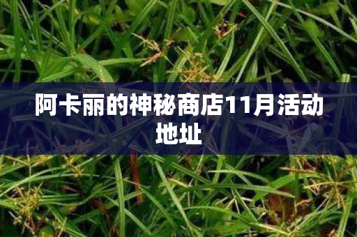 阿卡丽的神秘商店11月活动地址 阿卡丽的神秘商店11月活动地址