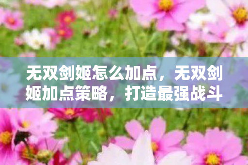 无双剑姬怎么加点,无双剑姬加点策略,打造最强战斗力的关键 无双剑姬怎么加点,无双剑姬加点策略,打造最强战斗力的关键