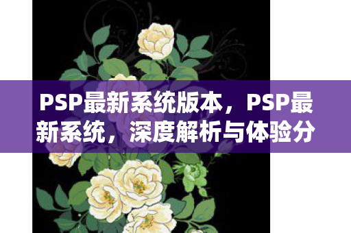 PSP最新系统版本，PSP最新系统，深度解析与体验分享