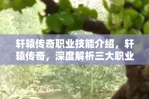 轩辕传奇职业技能介绍,轩辕传奇,深度解析三大职业技能,探寻战斗艺术的奥秘 轩辕传奇职业技能介绍,轩辕传奇,深度解析三大职业技能,探寻战斗艺术的奥秘