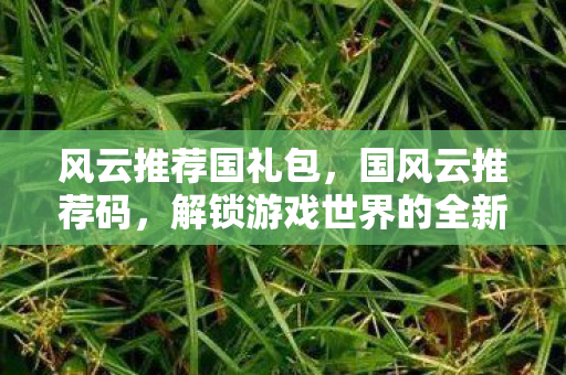 风云推荐国礼包,国风云推荐码,解锁游戏世界的全新维度 风云推荐国礼包,国风云推荐码,解锁游戏世界的全新维度