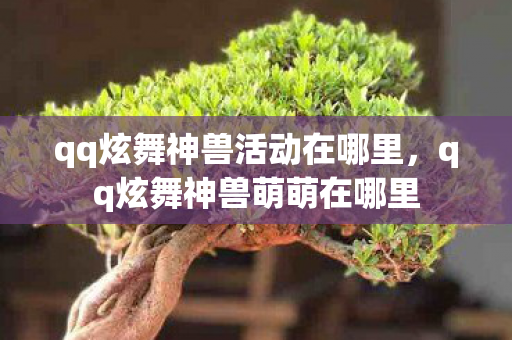 qq炫舞神兽活动在哪里,qq炫舞神兽萌萌在哪里 qq炫舞神兽活动在哪里,qq炫舞神兽萌萌在哪里