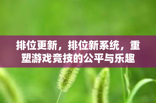 排位更新,排位新系统,重塑游戏竞技的公平与乐趣 排位更新,排位新系统,重塑游戏竞技的公平与乐趣