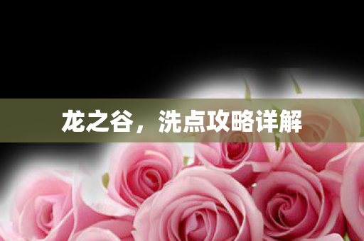 龙之谷,洗点攻略详解 龙之谷,洗点攻略详解
