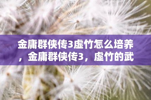 金庸群侠传3虚竹怎么培养,金庸群侠传3,虚竹的武侠世界 金庸群侠传3虚竹怎么培养,金庸群侠传3,虚竹的武侠世界