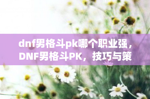 dnf男格斗pk哪个职业强,DNF男格斗PK,技巧与策略的深度剖析 dnf男格斗pk哪个职业强,DNF男格斗PK,技巧与策略的深度剖析
